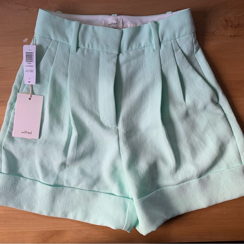 Aritzia labyrinth shorts